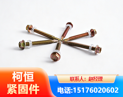张掖六角钻尾丝